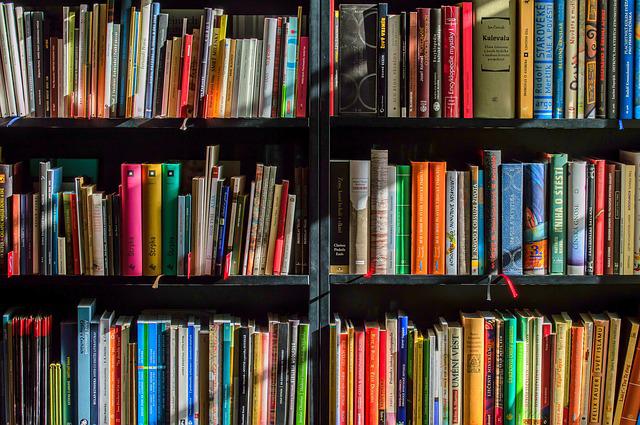 7 din 10 români aloca cel mult 25 de euro pe lună pentru educație / Foto: pixabay.com