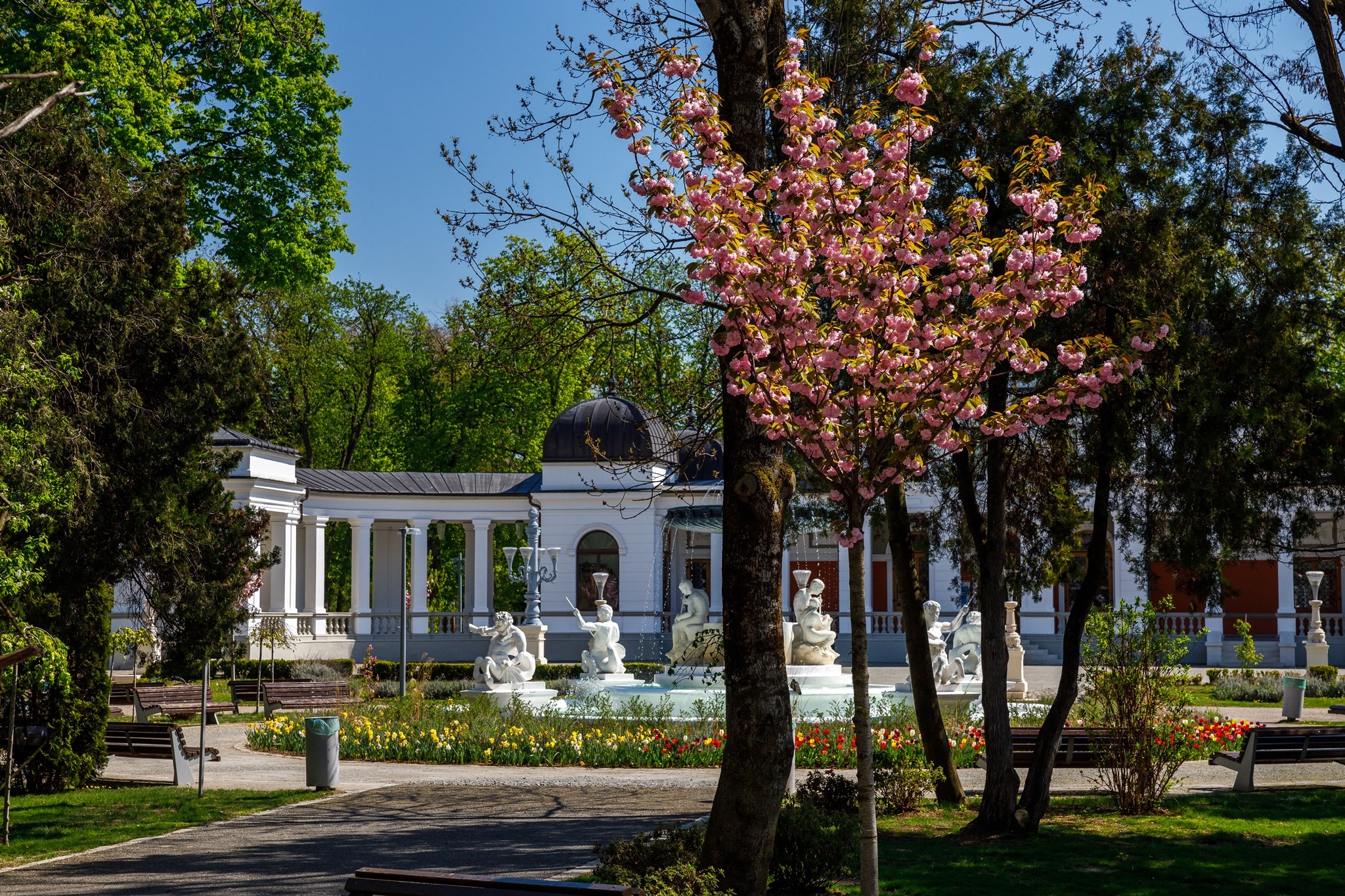 Primul festival dedicat sănătății are loc la Cluj