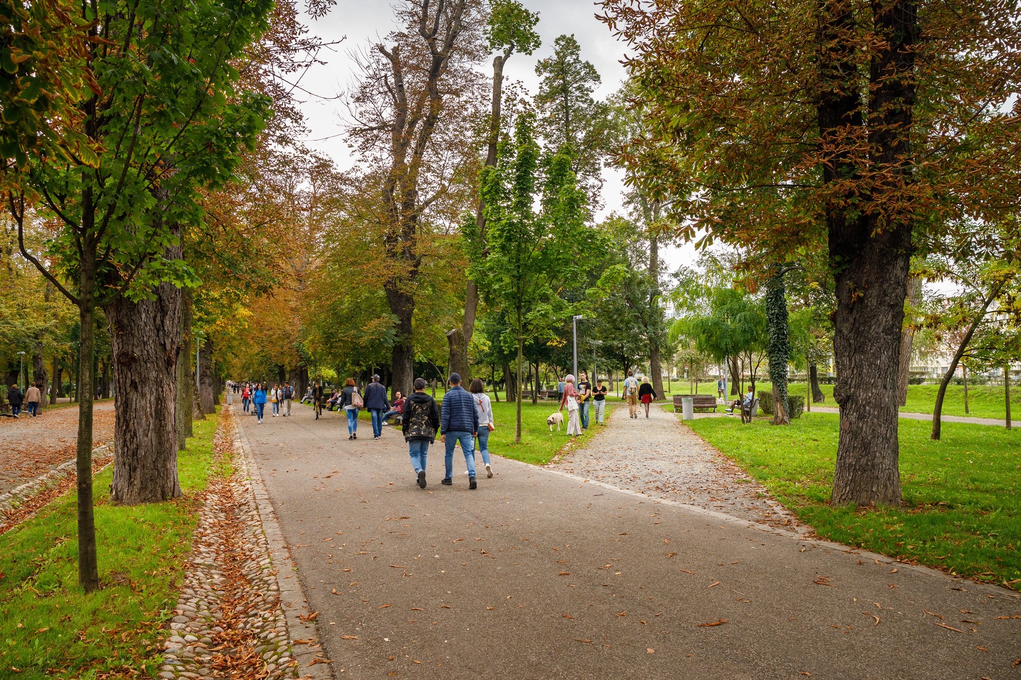Urmează zile reci și ploioase la Cluj. FOTO: Facebook/ Municipiul Cluj-Napoca