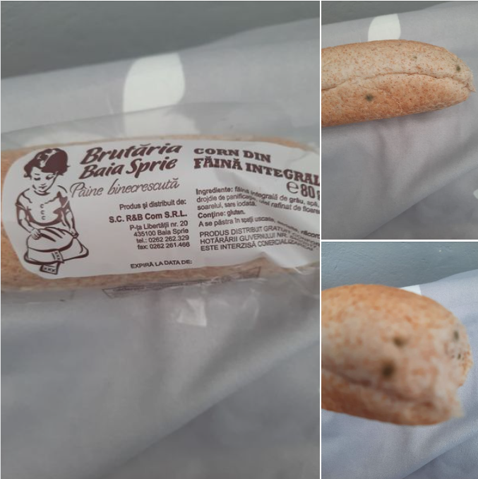 Cornuri MUCEGĂITE