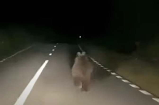 Un șofer care circula pe un drum din comuna Aluniș