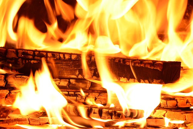 Prețul lemnului de foc ar putea fi plafonat pentru 6 luni / Foto: pixabay.com