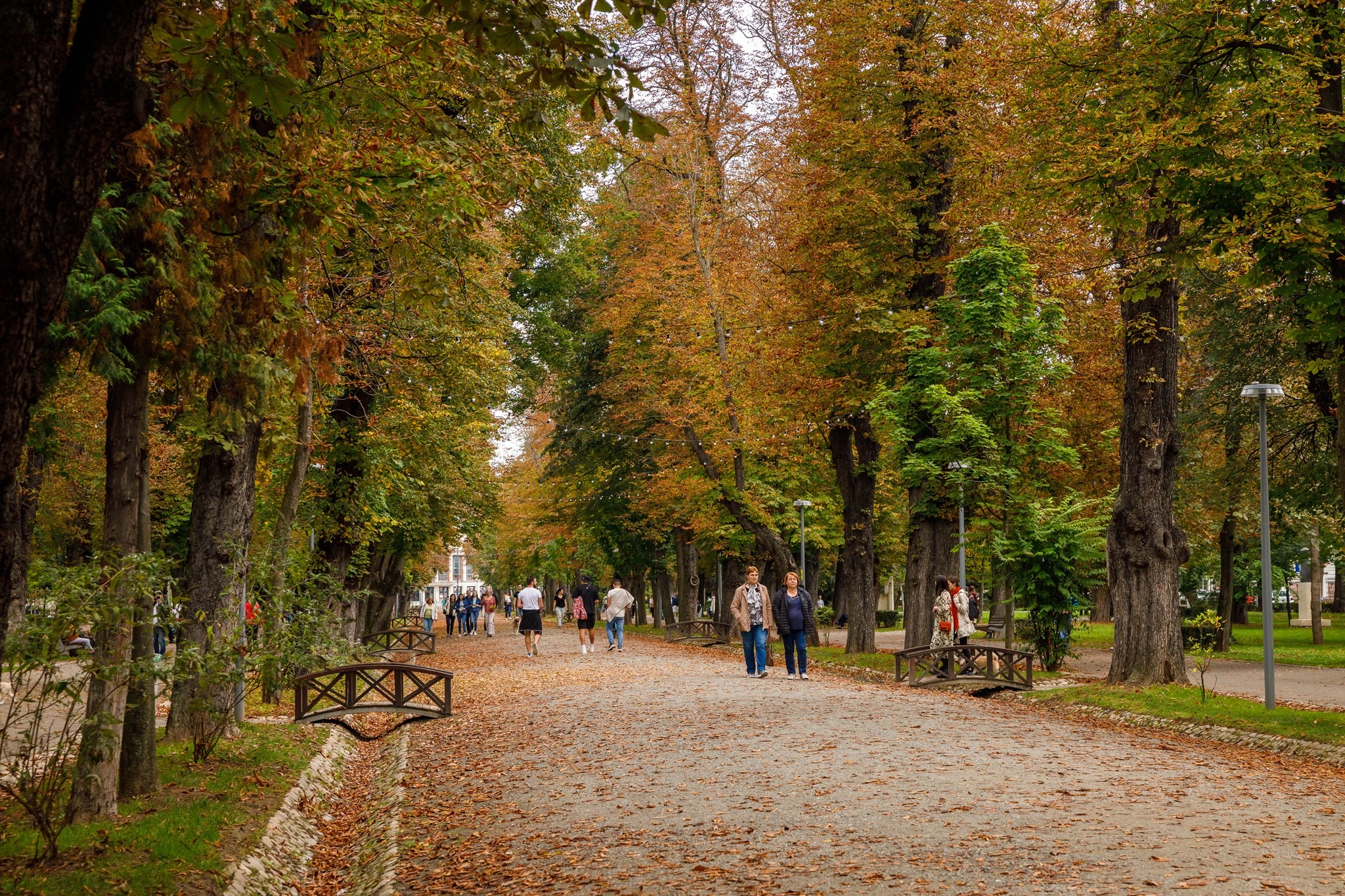 Frigul vine mai repede decât ne așteptam! FOTO: Facebook/ Municipiul Cluj-Napoca