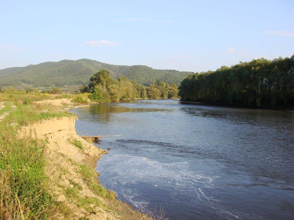 Descoperire macabră