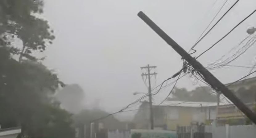 Insulele Bermude