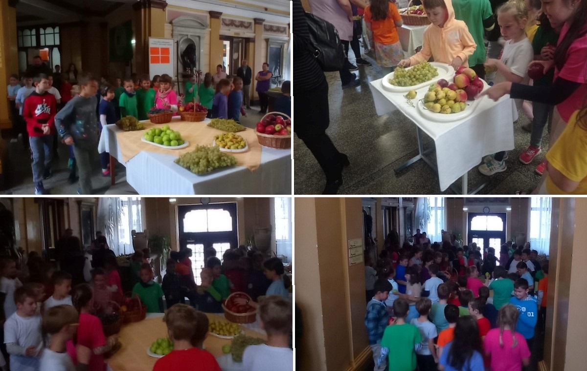 Liceul Unitarian „János Zsigmond” din Cluj-Napoca le-a oferit elevilor