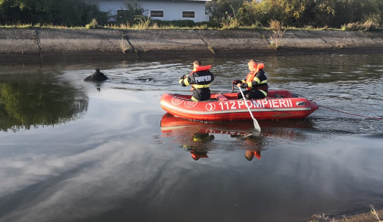 Pompierii clujeni au avut