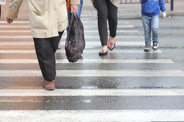 Un bărbat din comuna bistriţeană Salva s-a ales cu dosar penal după ce a desenat din proprie iniţiativă o trecere de pietoni pe Drumul Naţional 17C/ Foto: pixabay.com