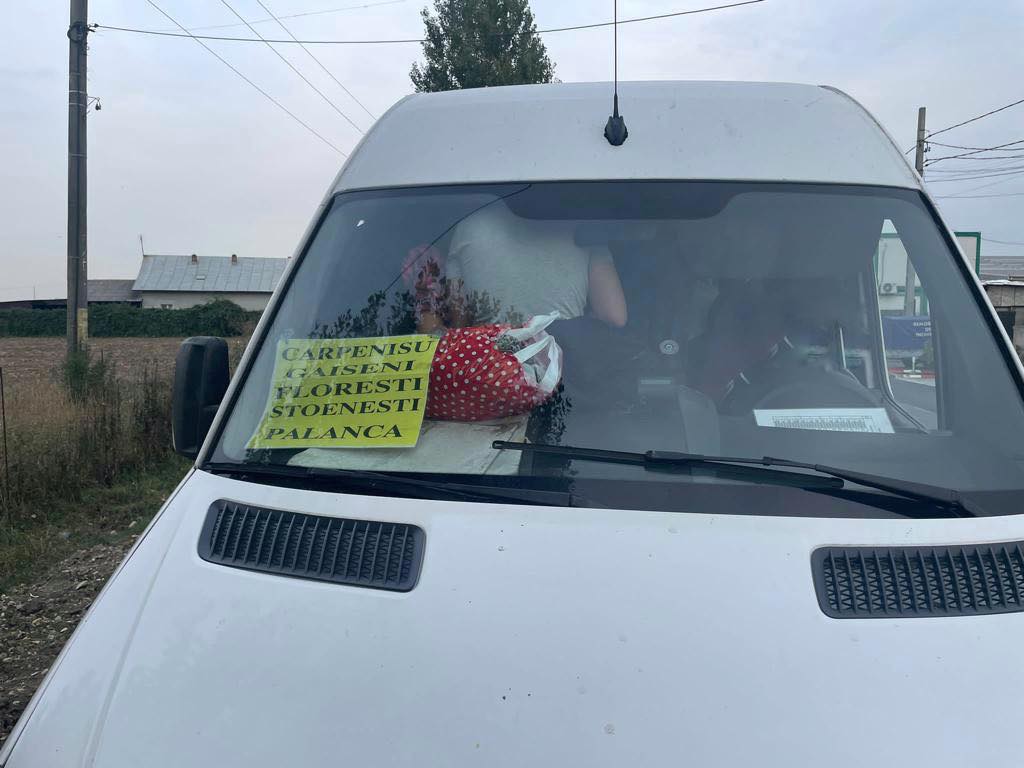 Poliţiştii rutieri au oprit în trafic