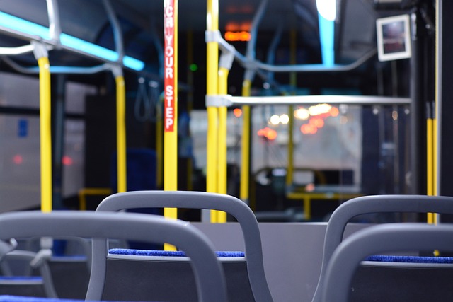 Un bărbat din Galaţi a fost reţinut de poliţişti după ce a uitat într-un autobuz o sacoşă cu două pistoale/ Foto: pixabay.com