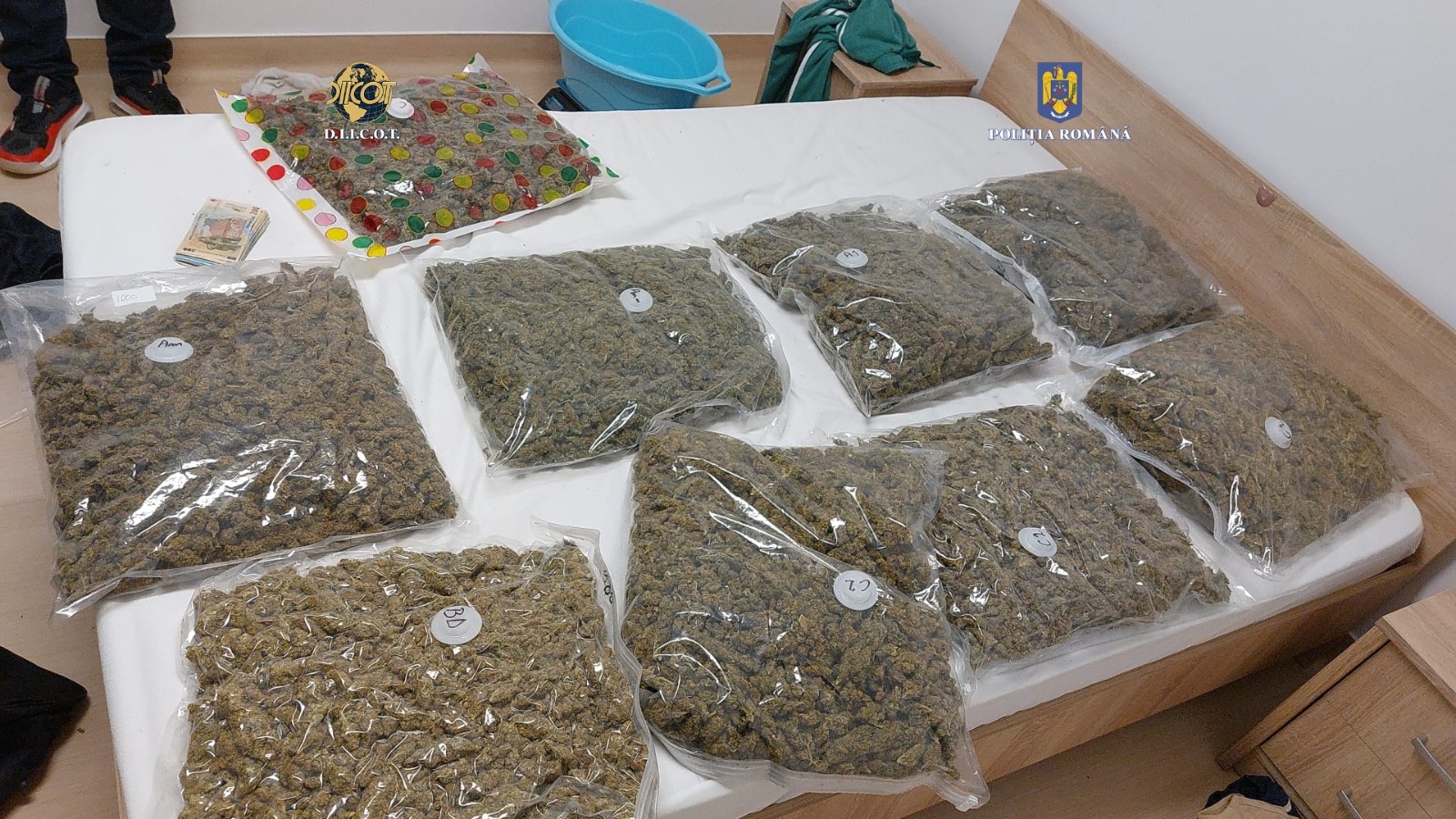 11 kg de cannabis și hașiș