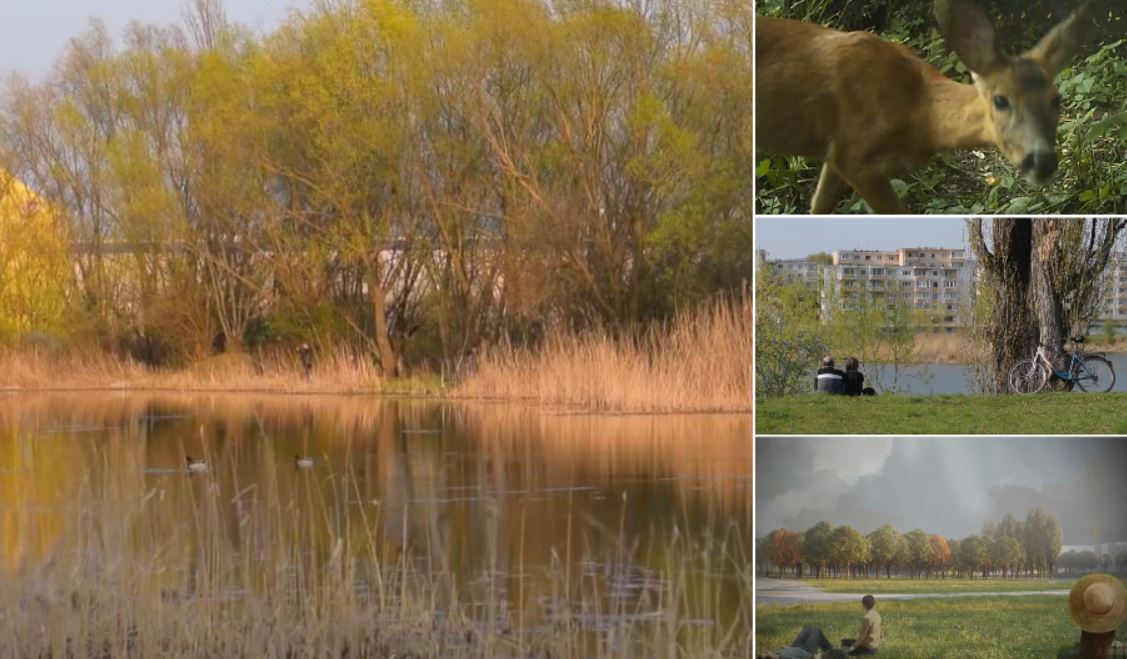 Imagini cu viitorul Parc Est