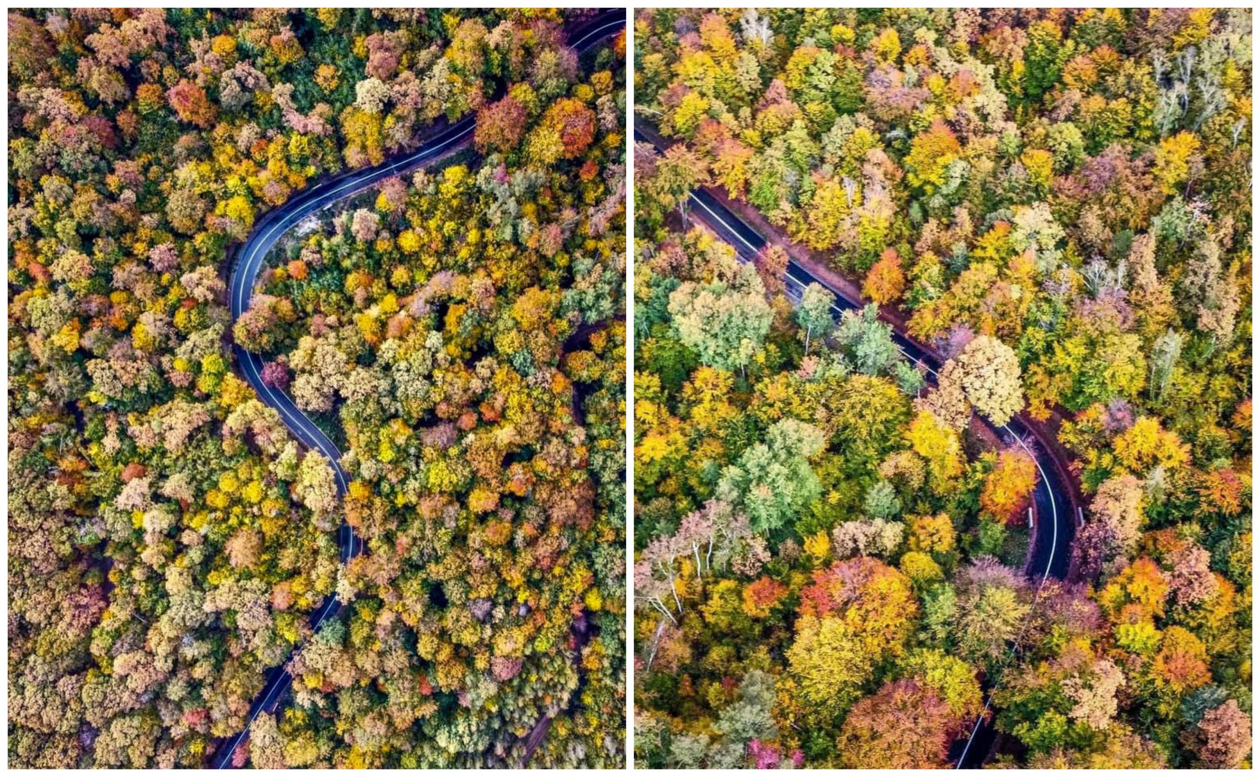 Toamnă spectaculoasă pe drumul dintre Mărișel și Măguri Răcătău. FOTO: Facebook/ Alin TIșe; Bluedot