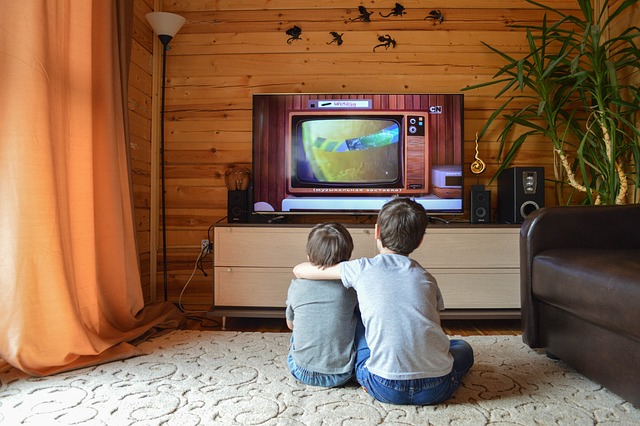 Televizoarele cu cel puţin noua clasă energetică G au fost principalele produse achiziţionate de români în 2021