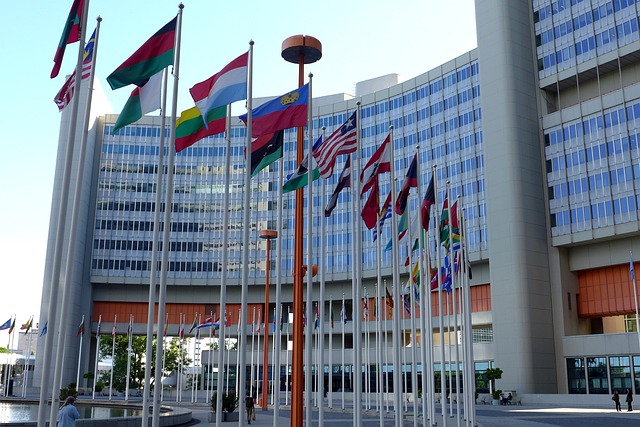 Un fost oficial ONU a fost condamnat la 15 ani de închisoare