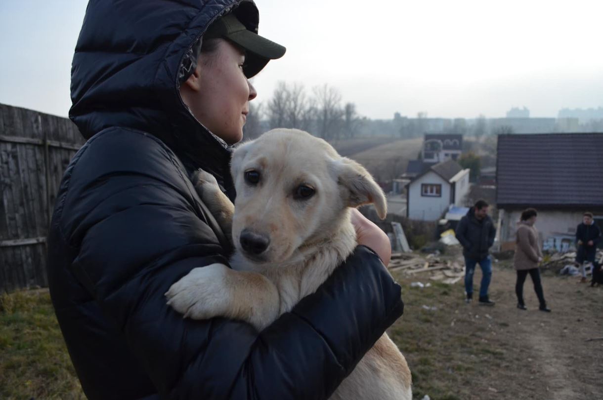Un grup de  tineri strâng donații pentru animalele fără stăpân din Cluj și Baia Mare / Foto: Facebook - Mustăcioșii fericiți