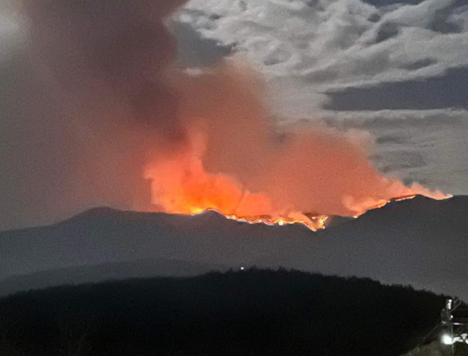 Pompierii eleni s-au declarat depăşiţi de situaţia cauzată de un incendiu de vegetaţie declanşat la graniţa dintre Grecia şi Bulgaria