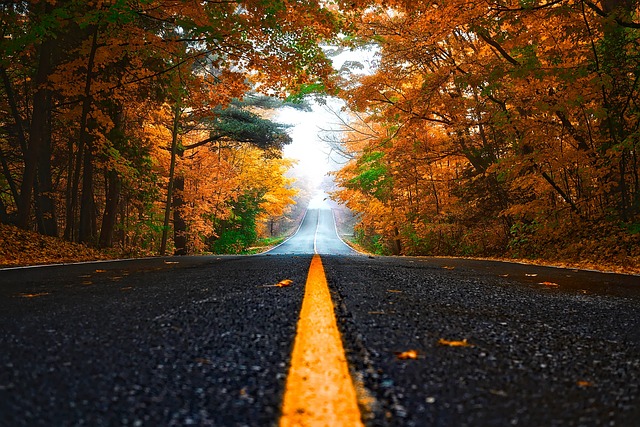 Meteorologii au actualizat prognoza meteo pentru următoarele patru săptămâni/ FOTO: pixabay.com
