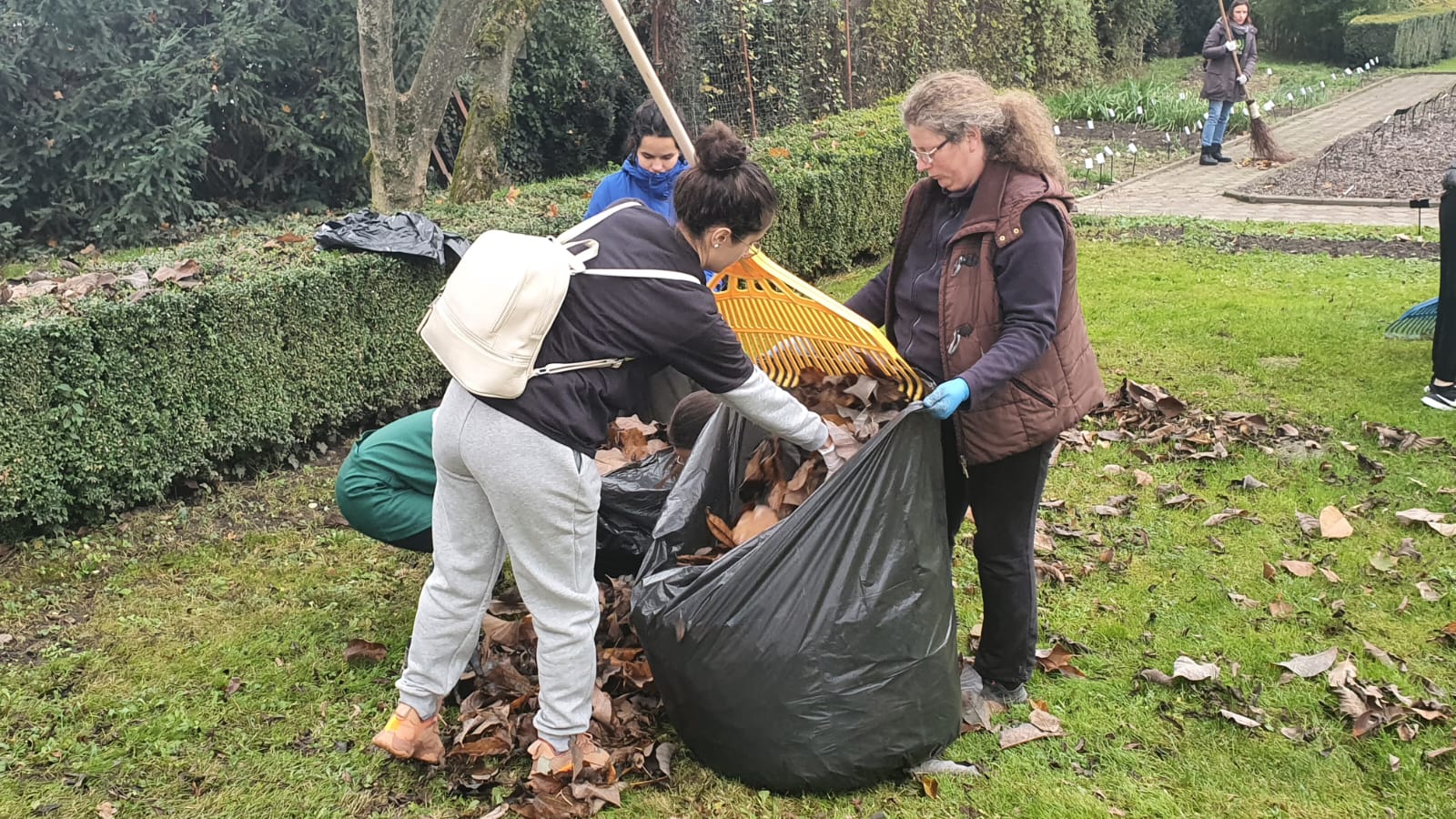 Studenții voluntari ai Consiliului Studenților din UBB au participat vineri la o acțiune de ecologizare a Grădinii Botanice „Alexandru Borza”/ FOTO: monitorulcj.ro