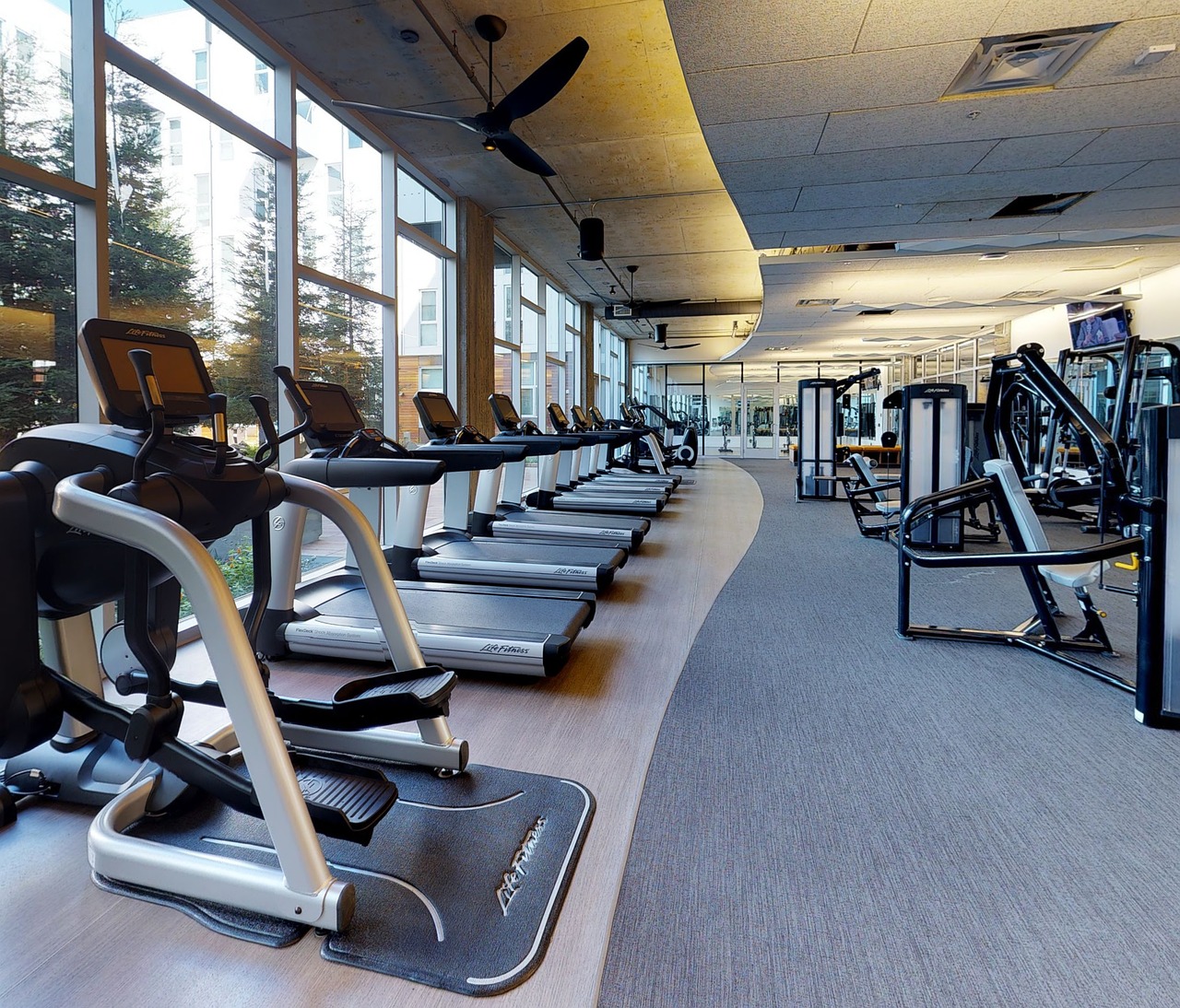 O tânără de 17 ani a murit subit la o sală de fitness din Alba. FOTO: Pixabay