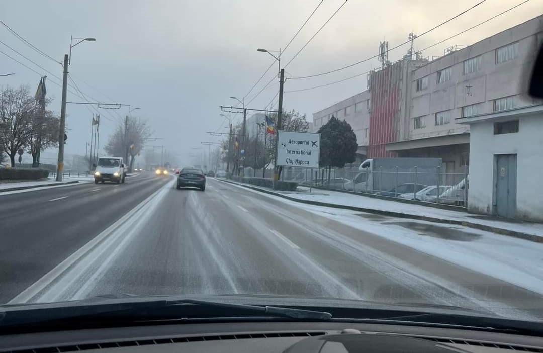 Polei lângă Aeroportul din Cluj-Napoca/ FOTO: Info Trafic Cluj-Napoca/Facebook