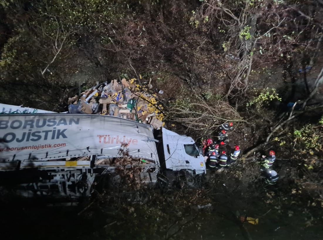 Un șofer a căzut cu TIR-ul de pe un pod și a murit / Foto: ISU Mehedinți -