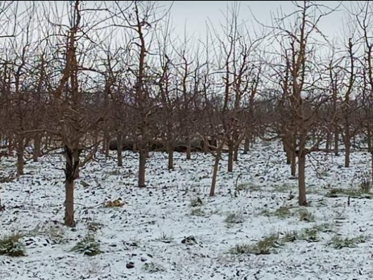 O achetă a fost descoperită de poliția de frontieră în apropierea orașului Briceni / Foto: Facebook - Ministerul Afacerilor Interne al Republicii Moldova