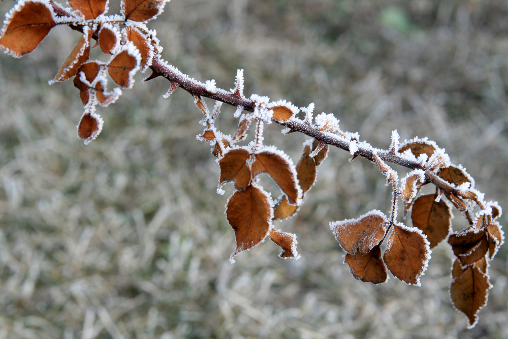 Temperaturile vor scădea semnificativ în această săptămână la Cluj/ Foto: depositphotos.com
