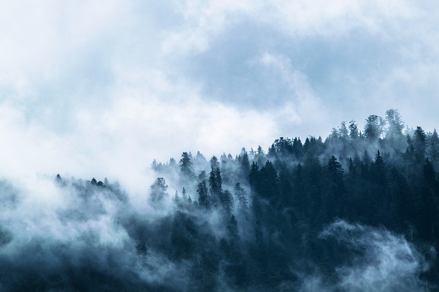 Ceață /FOTO: pixabay.com