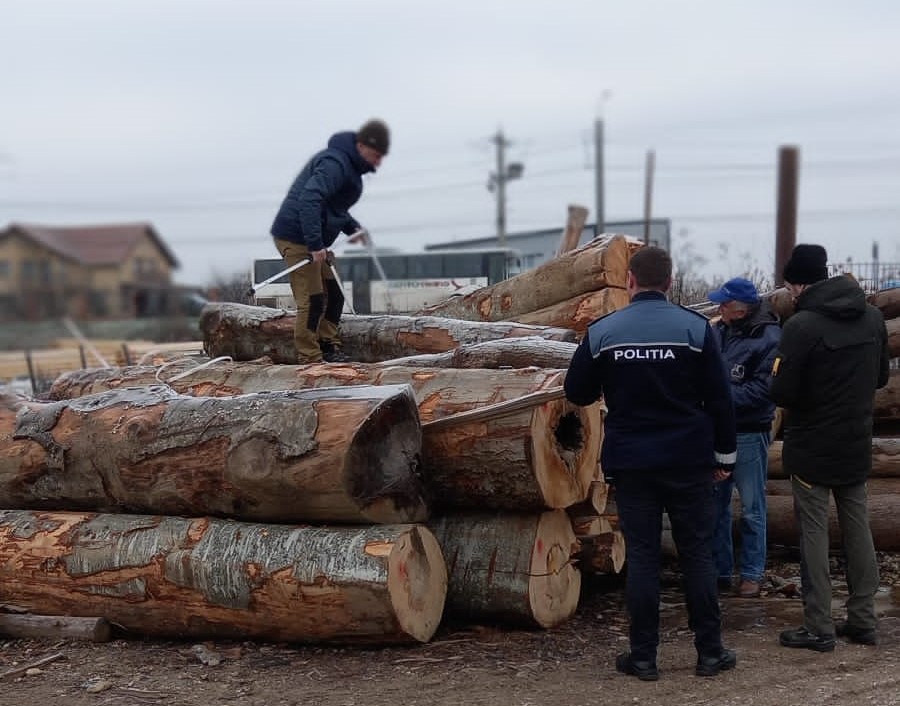 O firmă din Câmpia Turzii s-a ales cu amendă în urma unui control al polițiștilor cu reprezentanții Gărzii Forestiere Cluj/ Foto: IPJ Cluj