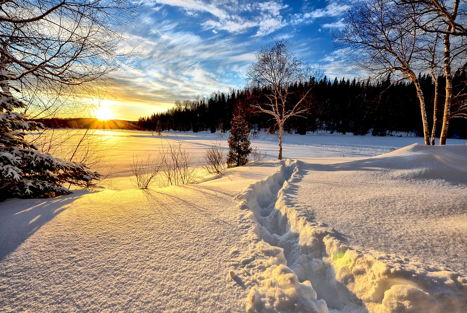 Sursă foto pixabay.com