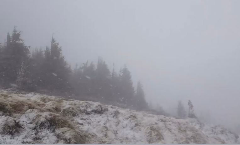 Ninge viscolit pe Vârful Vlădeasa în Cluj / Foto: captură ecran - Salvamont Vlădeasa Cluj