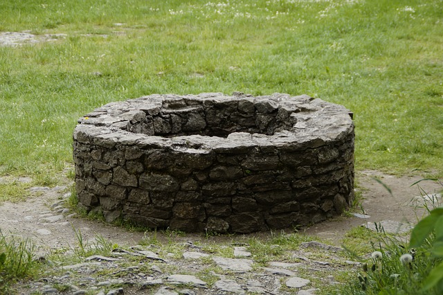 Un tânăr de 20 de ani s-a înecat