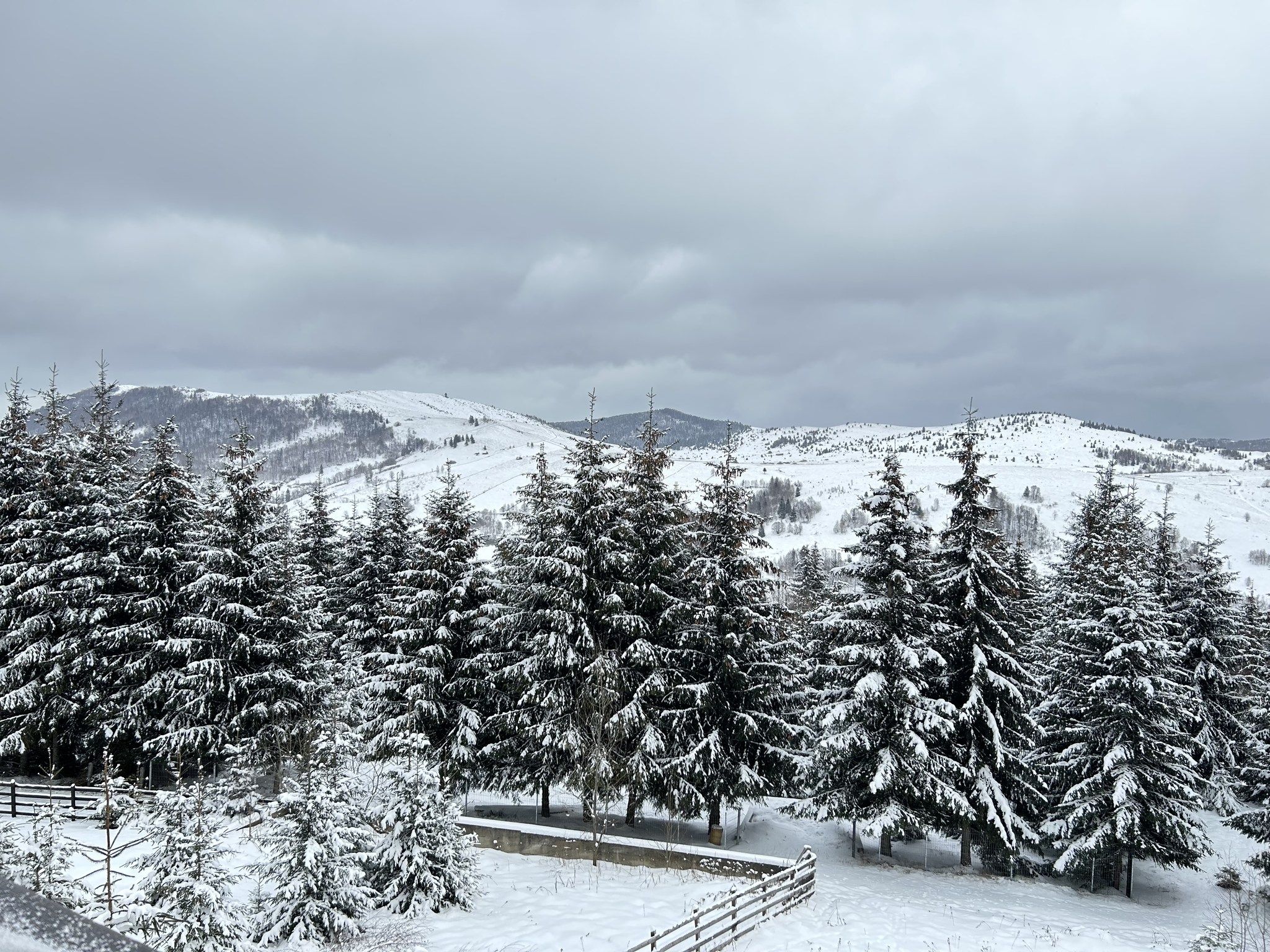 Stațiunea Muntele Băișorii / Foto: Family Nest - Facebook