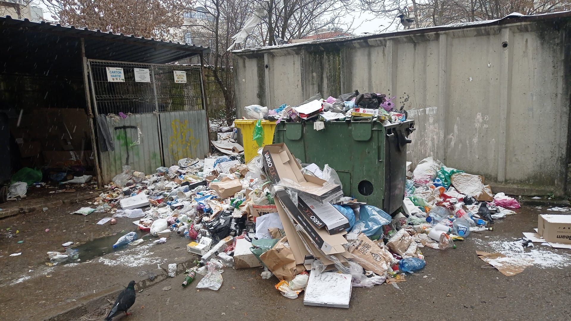 Gunoaie neridicate. Sursă foto monitorulcj.ro