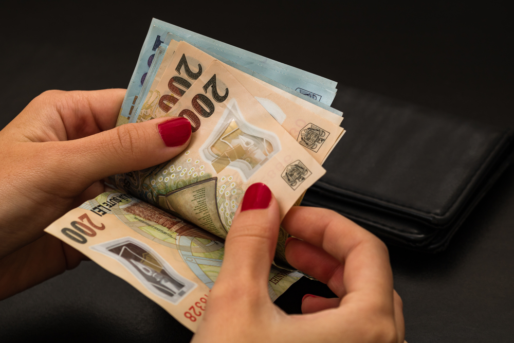 Salariul mediu net