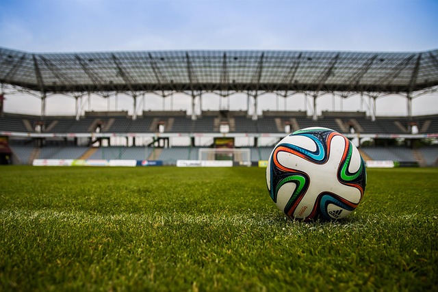 FIFA a efectuat o mulțime de teste antidoping în ultimul an /FOTO: pixabay.com