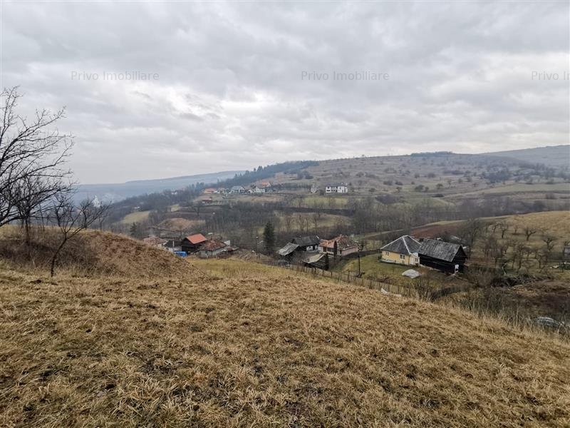 teren Suceagu. Sursă foto vora.ro