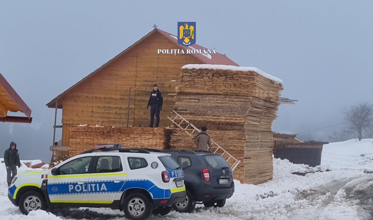 Polițiștii clujeni au efectuat cinci percheziții domiciliare în comuna Horea din județul Alba