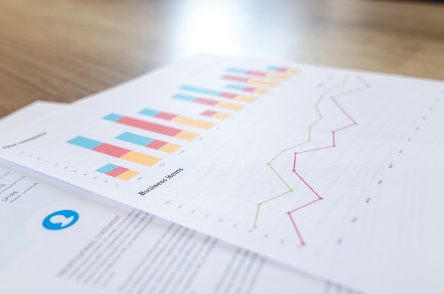 Un angajat pe poziţia de analist de procese financiare câștigă în medie 900-1.300 de euro net pe lună/ Foto: pixabay.com