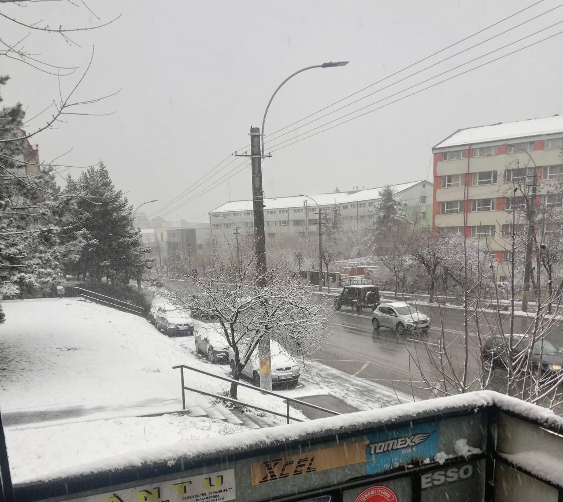Ninsoarea a revenit la Cluj/ FOTO: Paul Gheorgheci