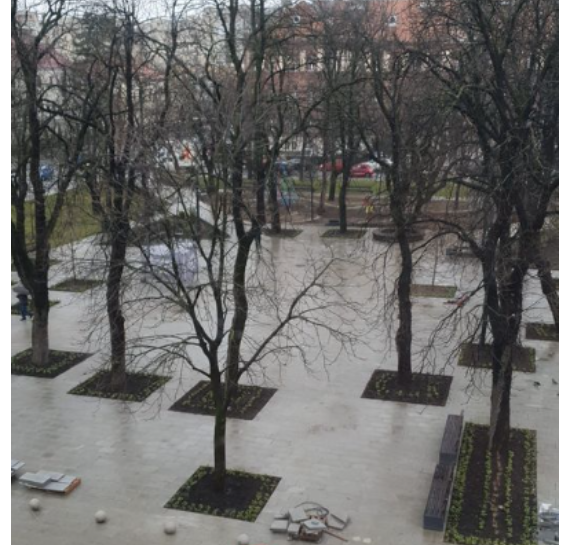 Așa arată parcul din spatele Teatrului Național / Foto: Facebook - Emanuel Petran