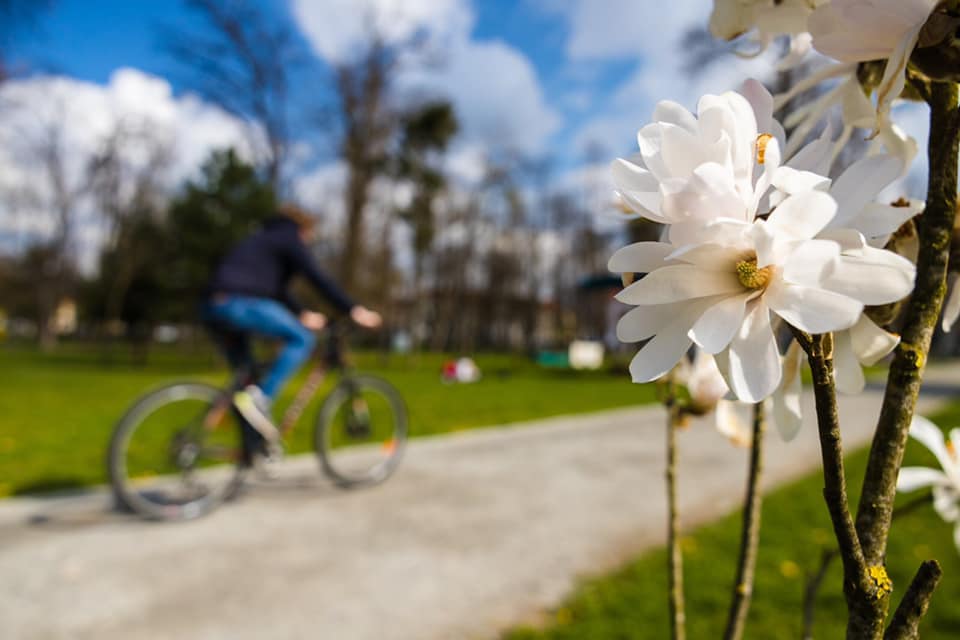 Persoană cu bicicleta în Parcul Central din Cluj-Napoca /Sursă: Emil Boc- Facebook