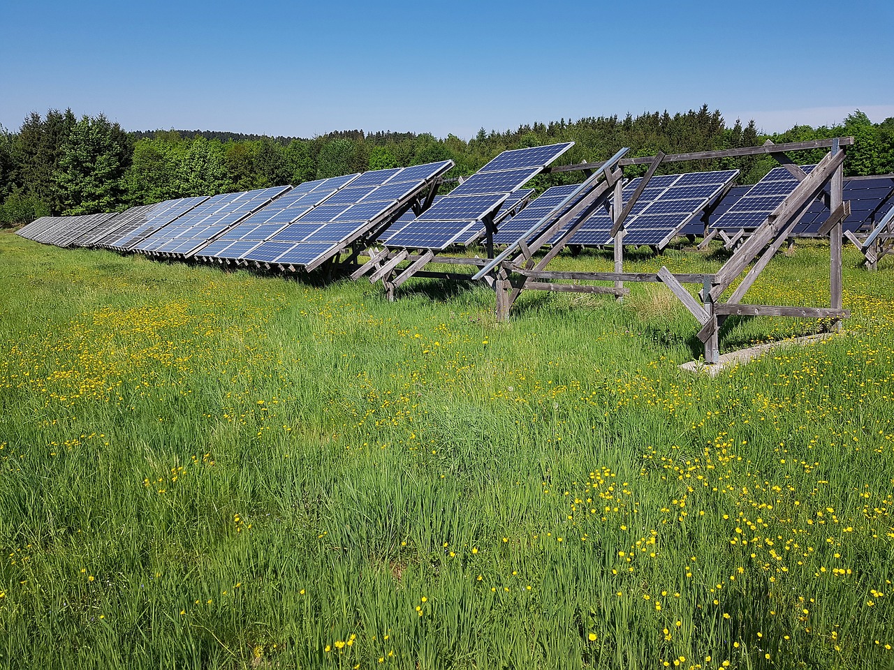 Termoficare Napoca face parc fotovoltaic în Cluj-Napoca. FOTO: Pixabay