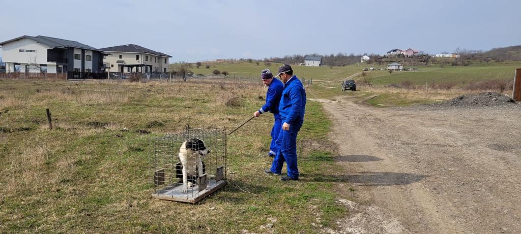 sursă foto Facebook Dan Tarcea