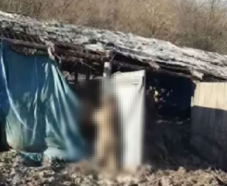 Imagini cu puternic impact emoțional / Foto: captură video - Organizația pentru Protecția Mediului și Combaterea Braconajului - OPMCB