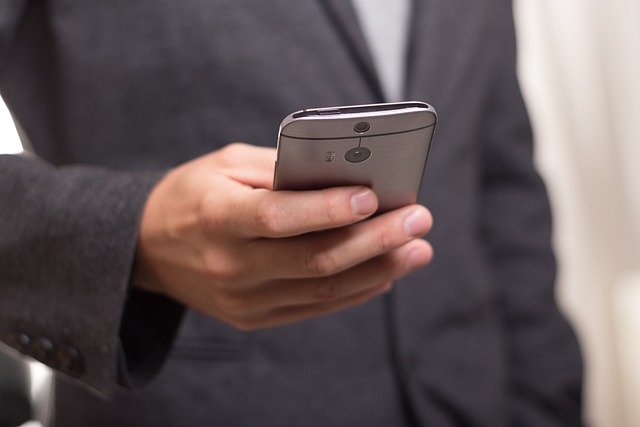 Act de identitate pe telefon / Foto: pixabay.com