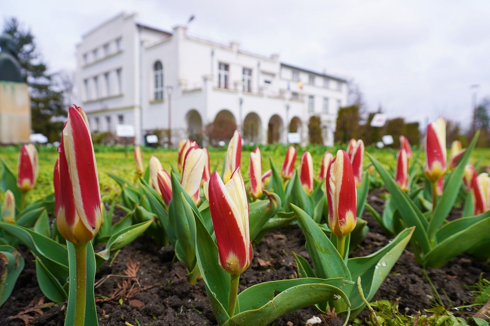 sursă foto Facebook Grădina Botanică