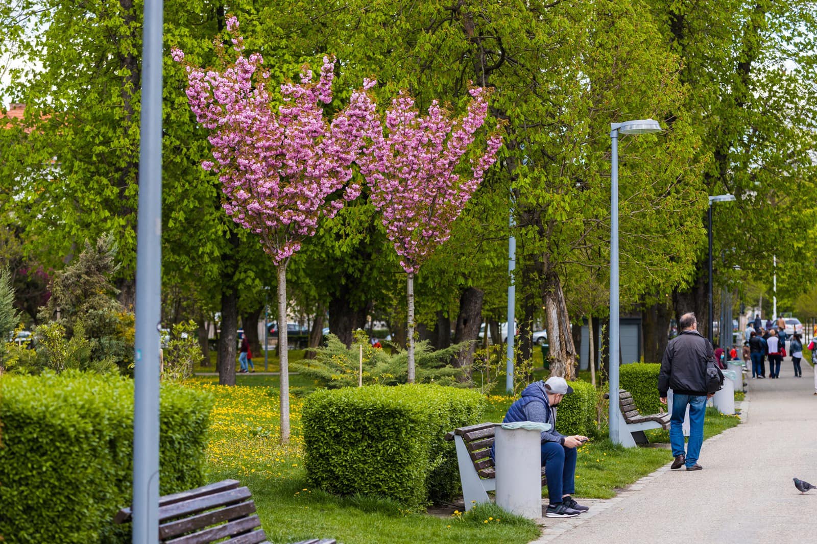 Vremea se încălzește la Cluj