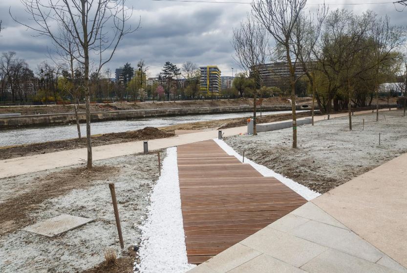 Peste 900 de arbori vor fi plantați în cadrul proiectului de reamenajare a malurilor Someșului/Foto: Emil Boc Facebook.com